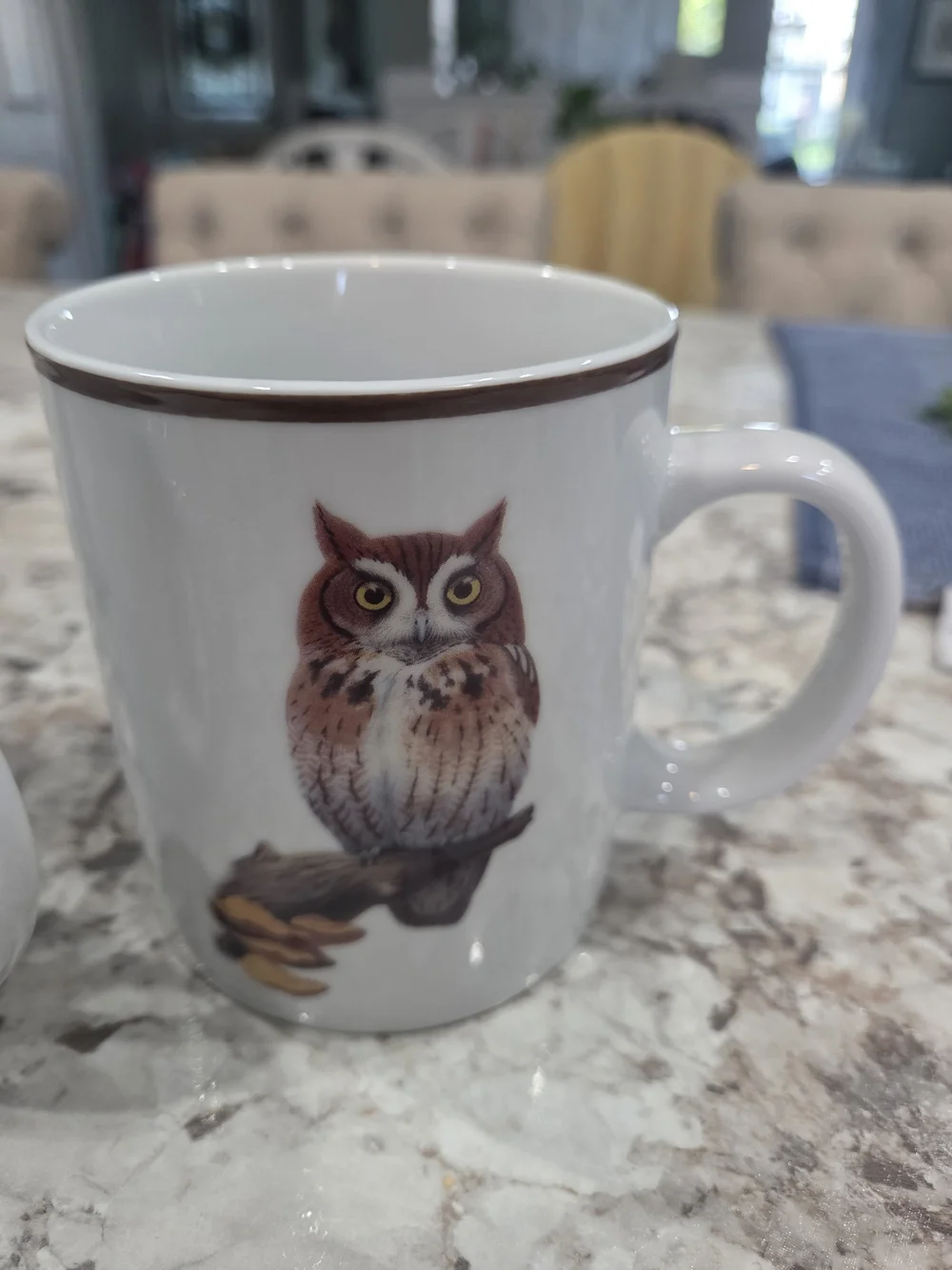 National Wildlife Federation detailed stylish subtle